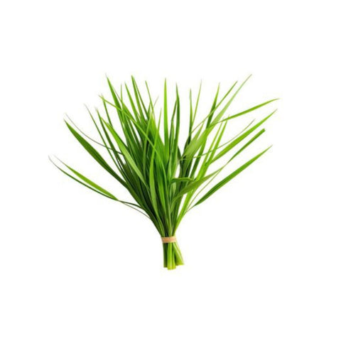 Citronella Oil