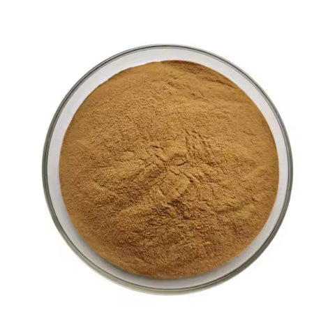 Chaste Tree Berry Extract Powder