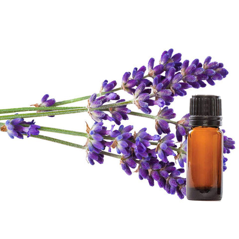 Lavender Oil