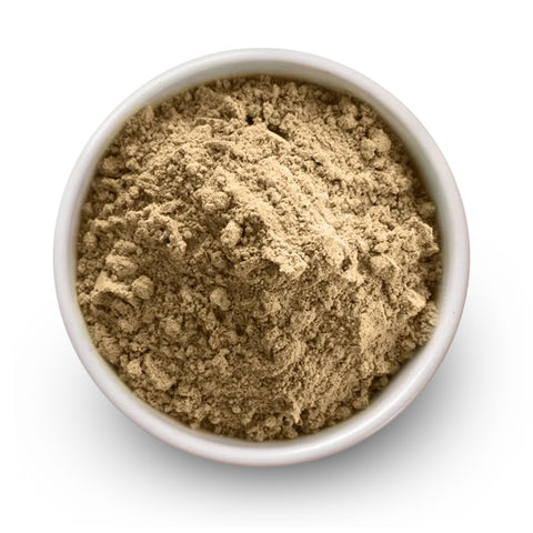 Lion's Mane Mushroom Powder