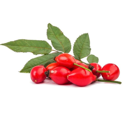 Rosehip Seed Oil